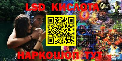 индика Партизанск