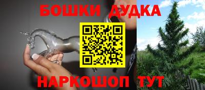 индика Партизанск