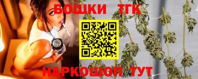 индика Партизанск