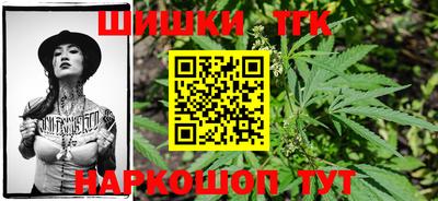 индика Партизанск