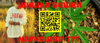 индика Партизанск